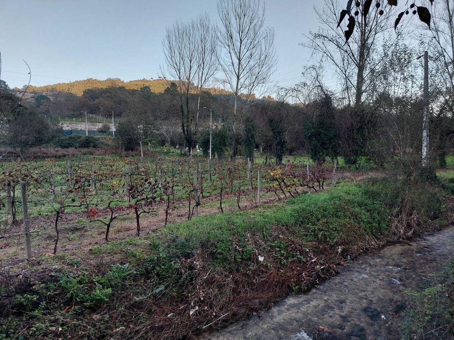 Terreno/Quinta de Lazer com 2.580 m² junto à Ribeira de Juncal | Soalhães