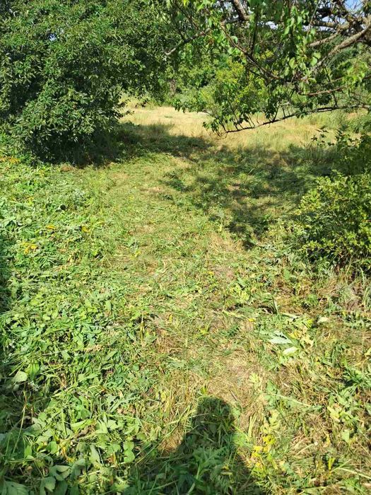 Продам будинок з ділянкою мала данилівка караван