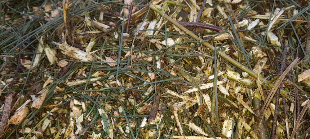 Zrębki iglaste,zrębka mieszana