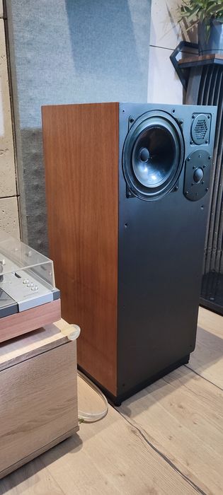 Kolumny Auditor Point Source 1 Made in France 76r (focal,audax)