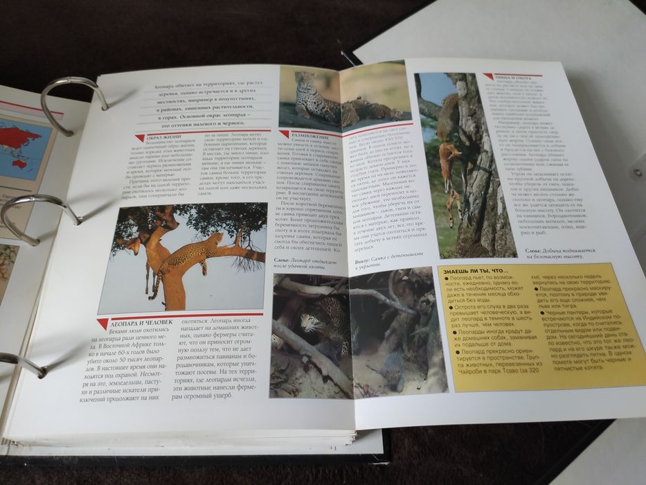 В мире дикой природы