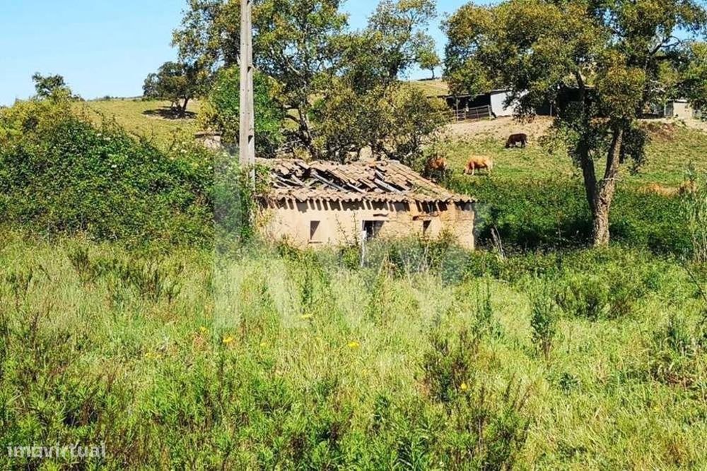 Quinta São Teotónio | com 3 Habitações Urbanas