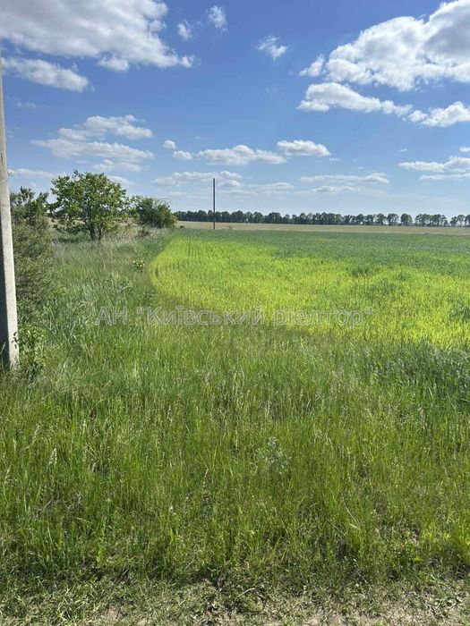 Без %. Продаж земельної ділянки 25 сот, с.Дударків Борисп.р-н