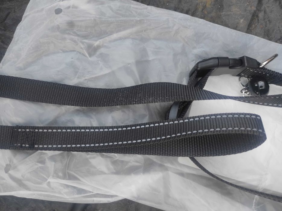 Комплект для вигулу пса