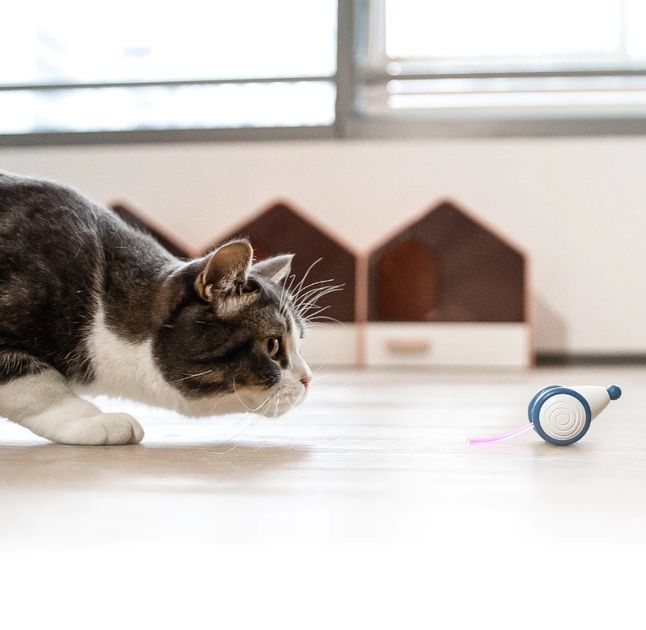 Cheerble Wicked Blue Mouse - Інтерактивна зелена мишка для котів