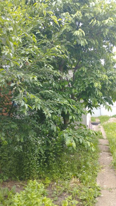 Продам півбудинку від власника