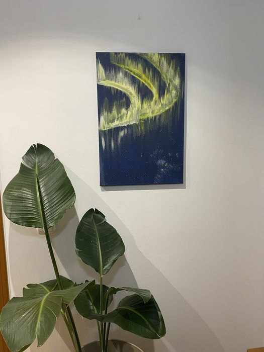 Telas de pintura em acrilico 50x70cm