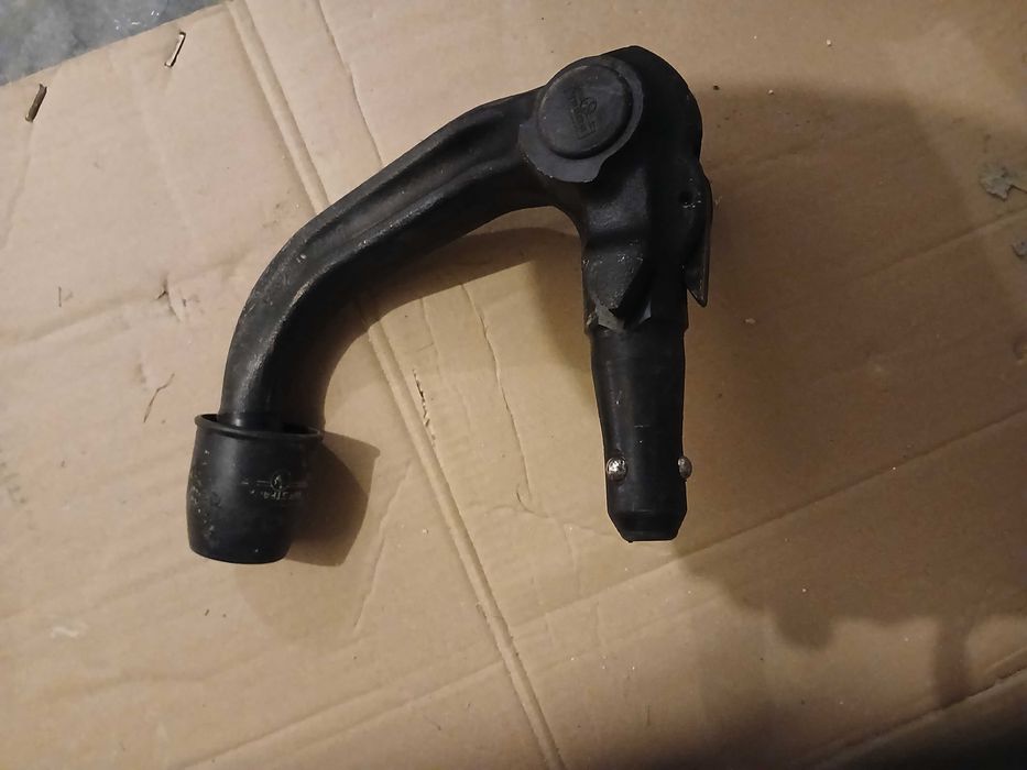 Hak kulowy  westwalina