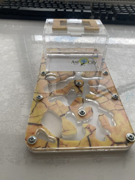 Мурашина ферма смарт сахара antcity