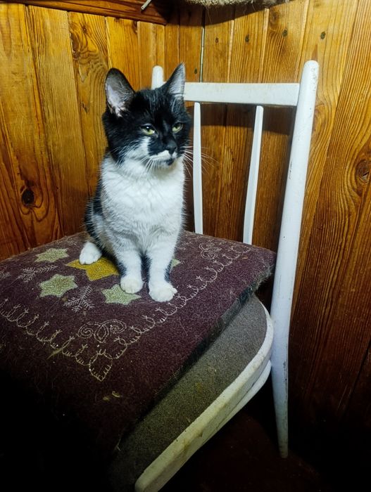 Маленькі бешкетникі