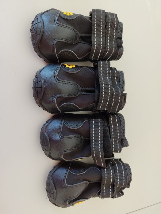 Botinhas de cão novas