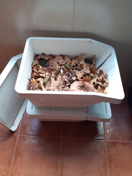 Composteira doméstica em funcionamento