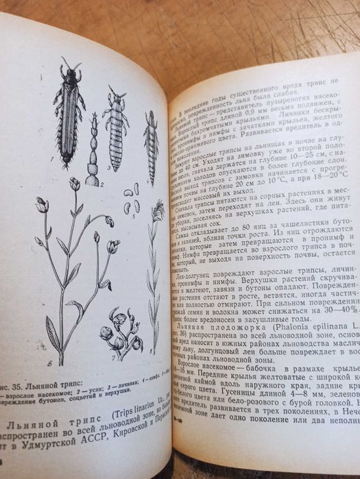 Лен - долгунец. Справочник льновода. Комплект из 2 книг