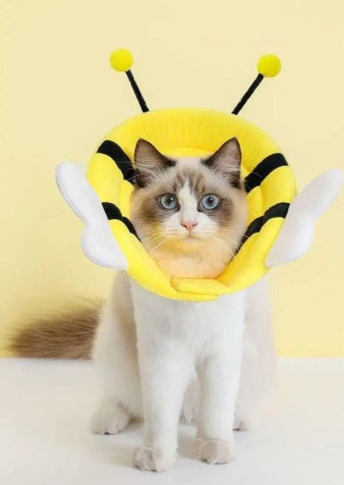 Після операційний комір, конус для котів собак розмір М