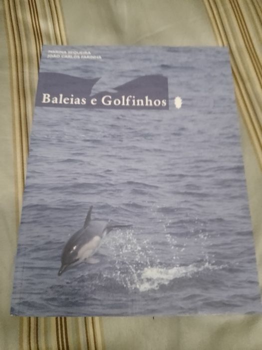 A%C3%A7ores+Peservar-1+edicao15E-Baleias+e+Golfinhos-Sequeira%2FFa.8E+Desde2E64176735992066123