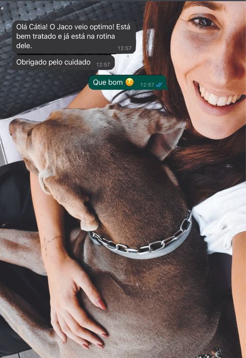 Pet sitting em estadia familiar - Oeiras