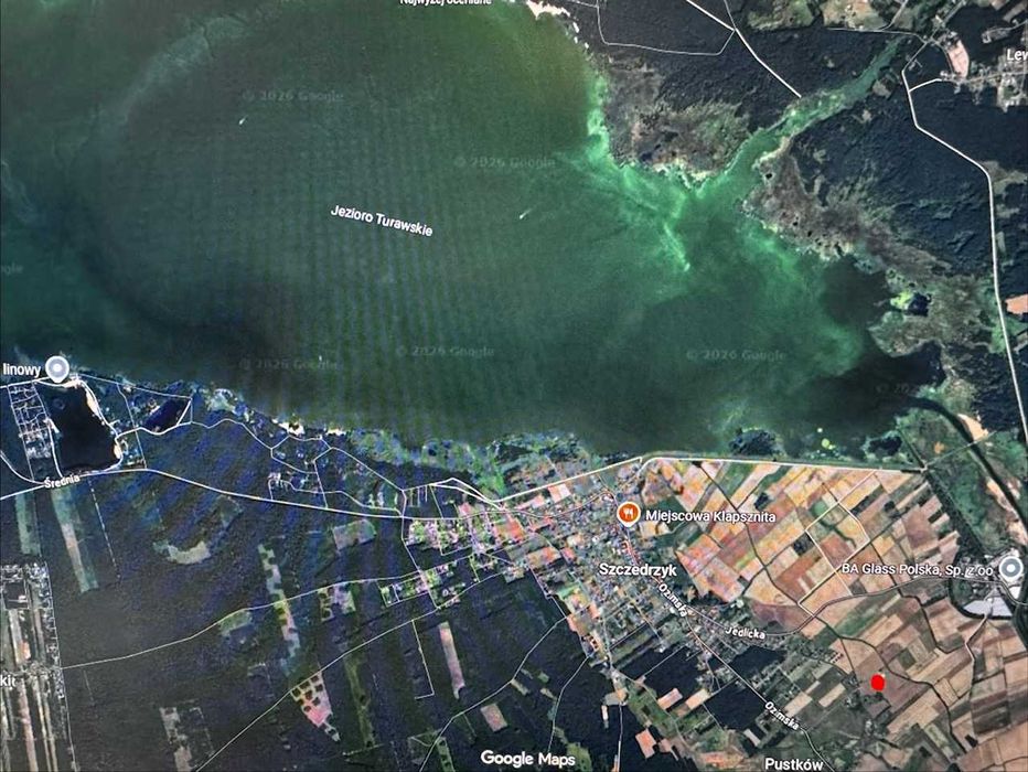 Działka Szczedrzyk - BUDOWLANA - Sprzedam . Działka okolica Turawa . Sprzedam działkę . Blisko Jeziora , Las.