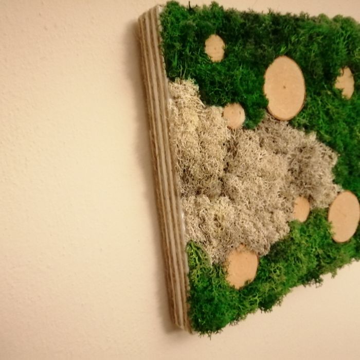 Obraz mech chrobotek stabilizowany drewno juta dekoracja