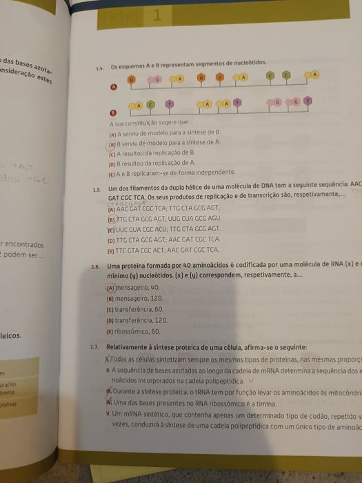 Manuais "Biologia 11" e "Geologia 11" e Caderno de atividades