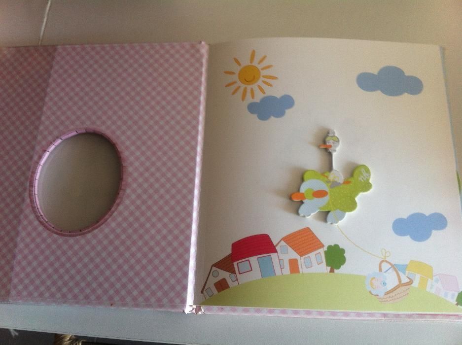 Livros - Maternidade _ Diários