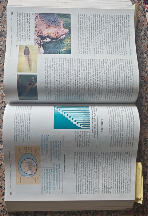 Livro Biology Campbell