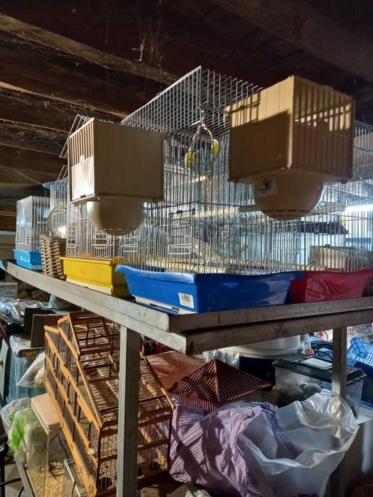 DESOCUPAR ( LER a descrição)Acessórios de animais