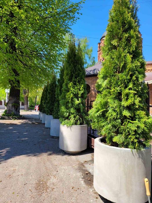 Вазон бетонный, Ваза бетонная, Клумба бетонная.: 3 000 грн. - Витвори ...