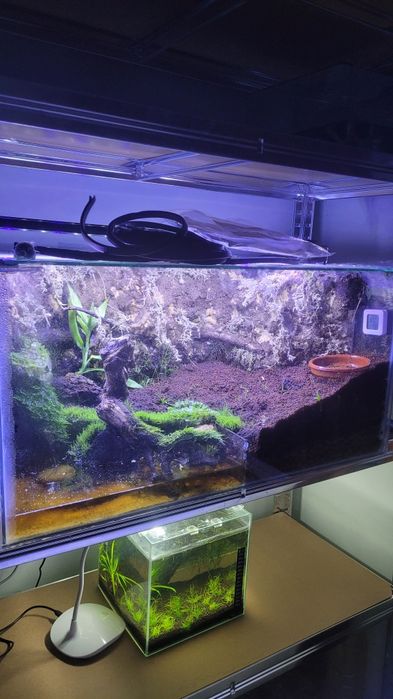 Paludário/Terrario Bioativo Completo 100L – Com LED, Cascata, Plantas, Camarões e Caranguejos Vampiros