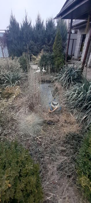 Продам дачу 12 сот  Шевченковский р,н