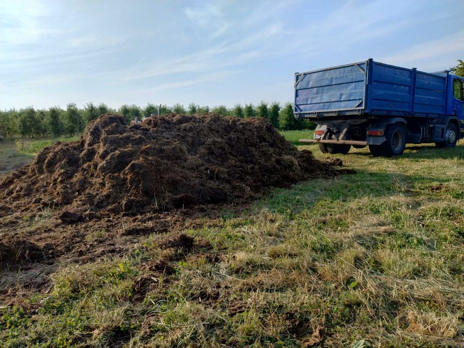 Obornik koński z głębokich stajni z transportem