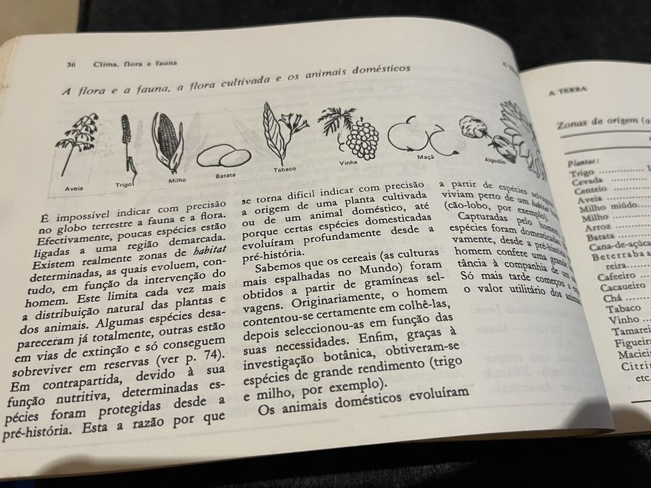 Livro de Bordo Globo Historico Iluminado