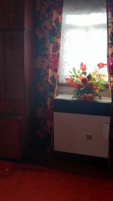 Продам будинок в селі Буки