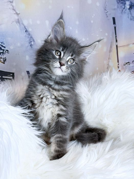 Милий малюк мей  кун