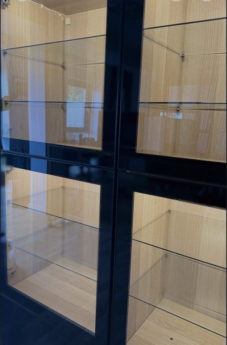 Szafa dwuskrzydłowa szklana czarna LED Besta Selsviken