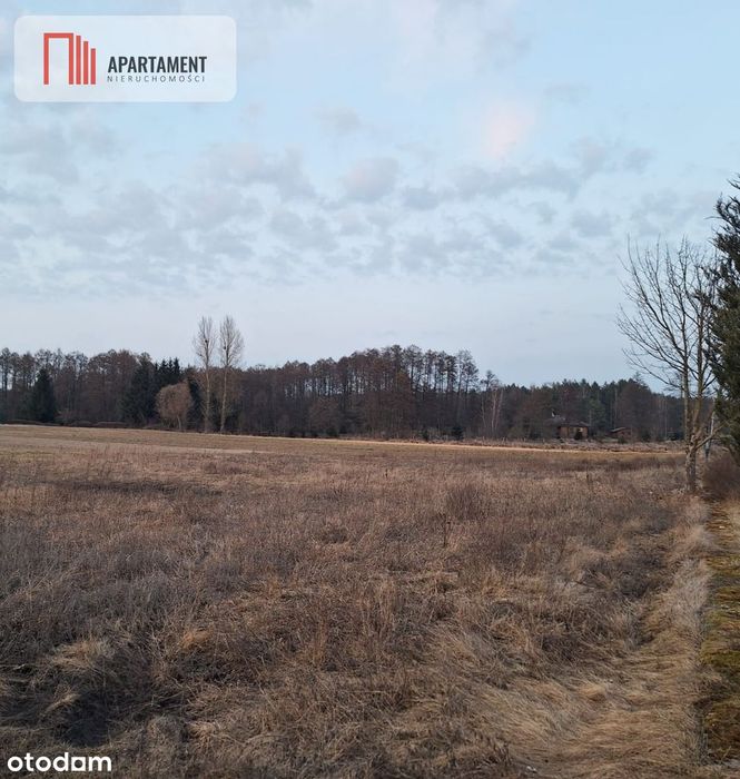 Działka z projektem przy lesie i jeziorze–Kornelin