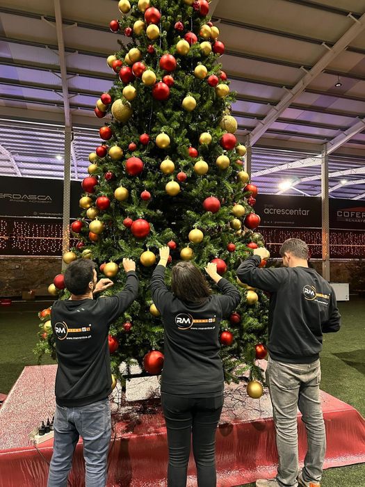 Carrosseis - Divertimentos - Animações Natal