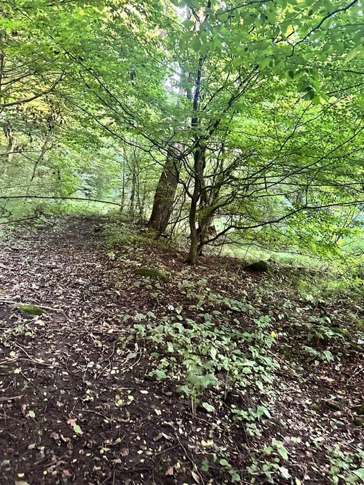 Продаж ділянки під лісом (район ресторану "Камелот")