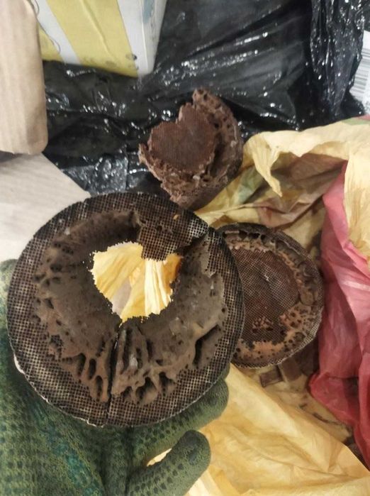 Скупка каталізаторів здати каталізатор прийом сажевих фільтрів