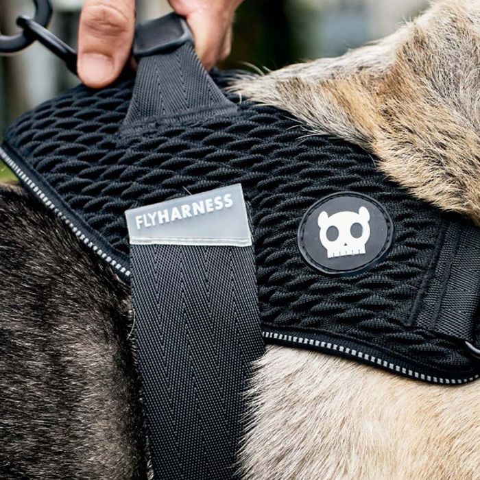 ZEE DOG czarne Szelki dla psa Fly harness Gotham, różne rozmiary