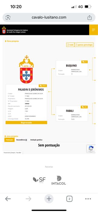 Poldra cruzada de lusitana 6 meses