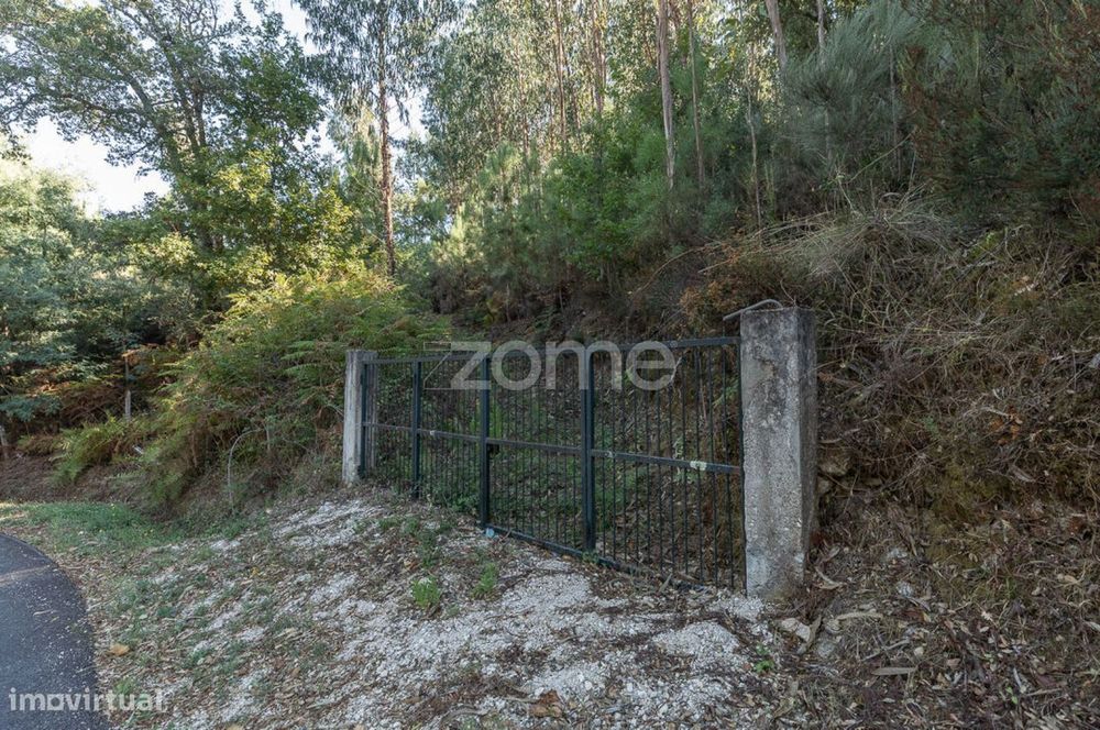 Terreno em Folques, Arganil
