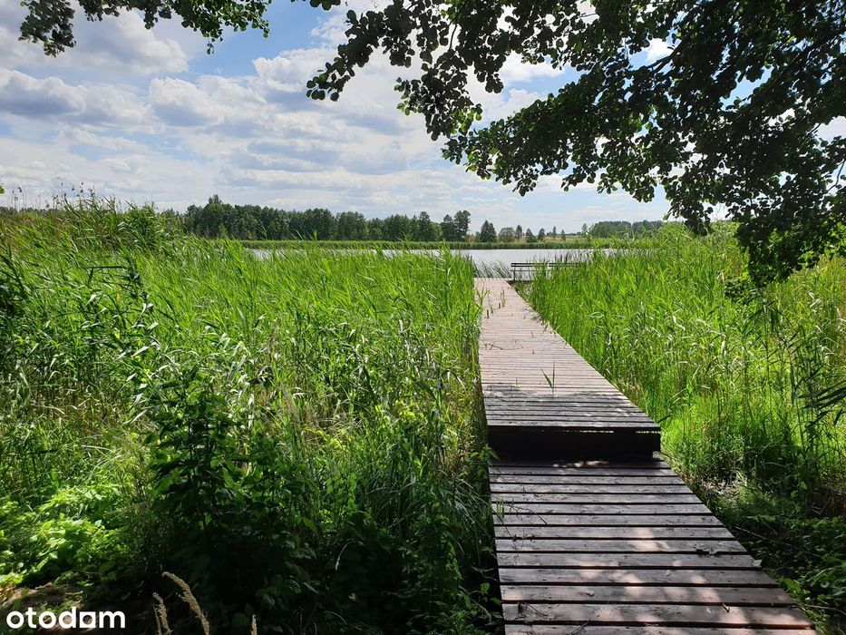 Działka rekreacyjna nad jeziorem z linią brzegową 15m Perkowo 940 m² - Widok 4