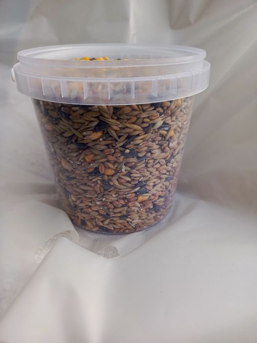 Насіння в контейнері та на вагу