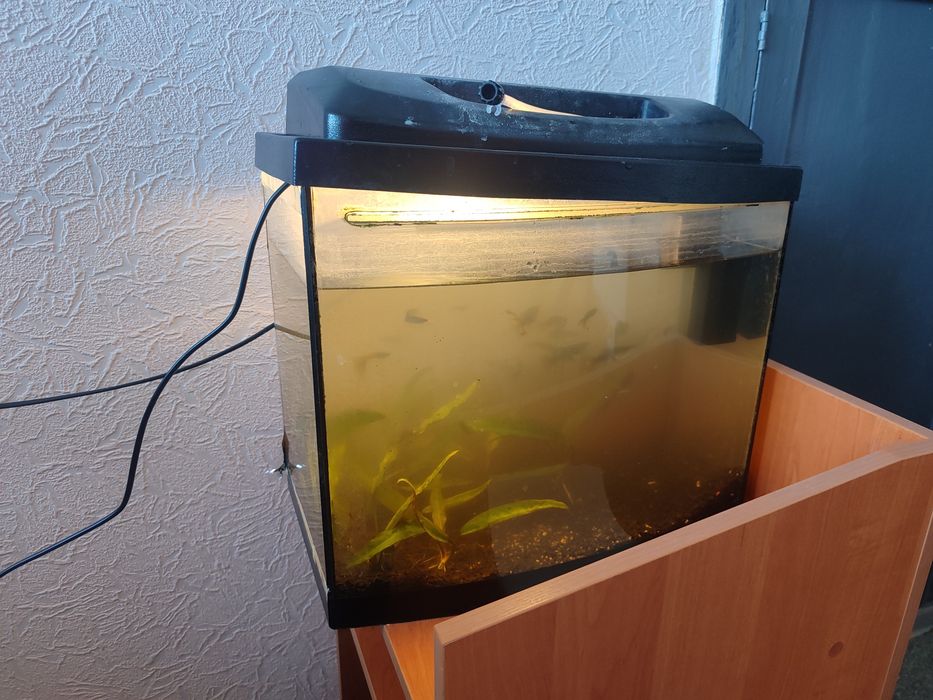 Аквариум для рыб на 25 литров
