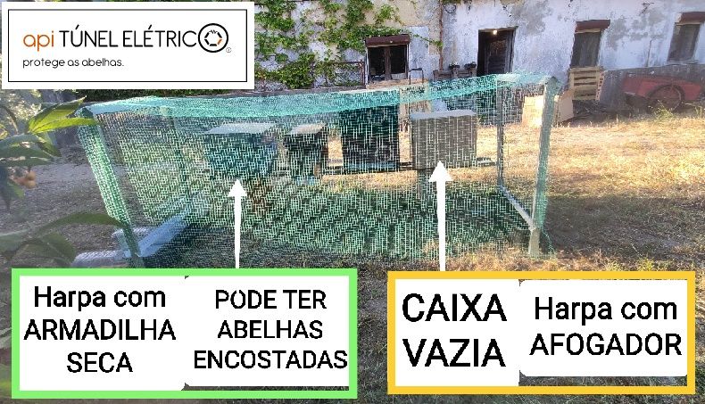 Nova ARMADILHA SECA para arpa elétrica vespa velutina
