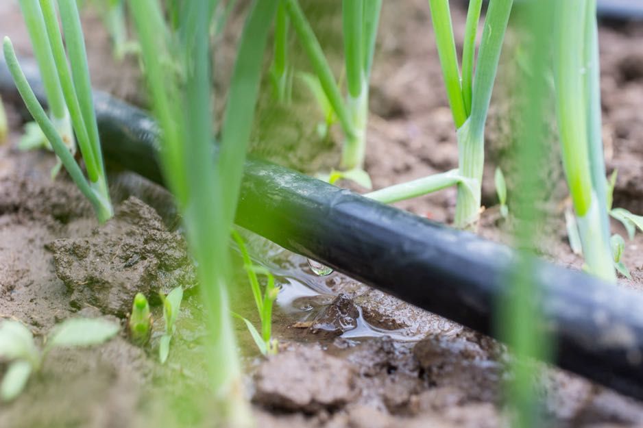 Linia do nawadniania
Fi 16mm-33cm-1,0mm-400m