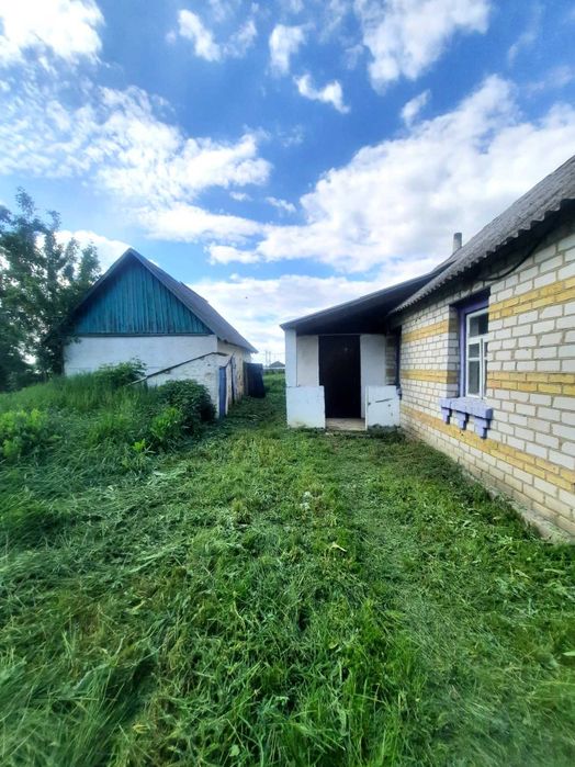 Продаж 2 кімнатного будинку в Брусилові, вул. Цегельна.