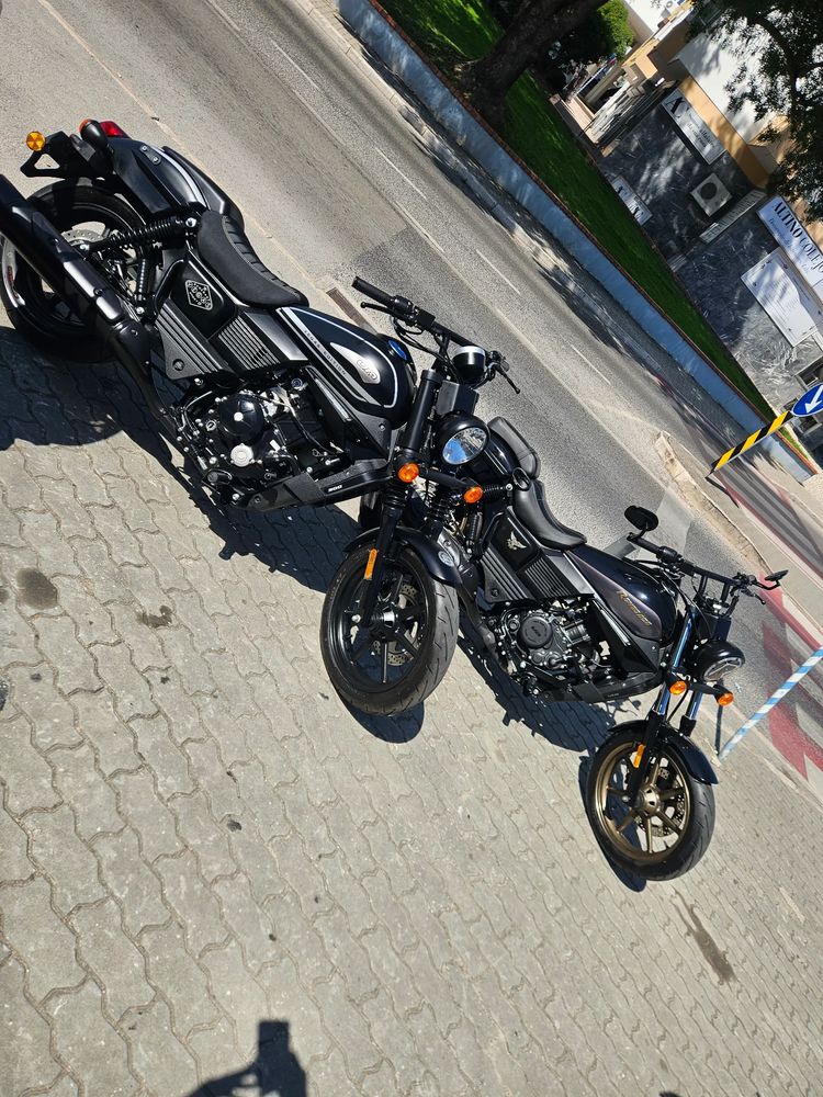 UM Renegade