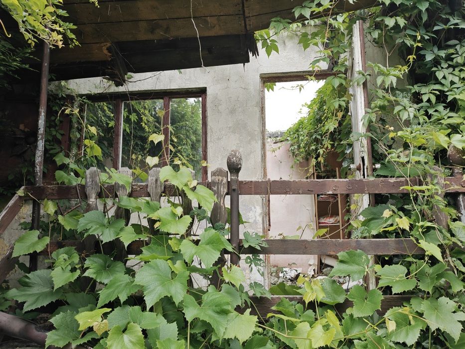 Ogródek działkowy