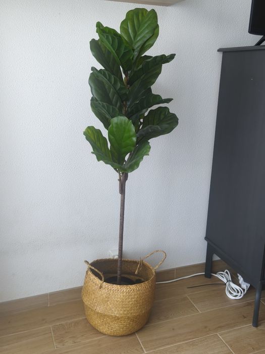 2 Plantas Artificiais de Decoração